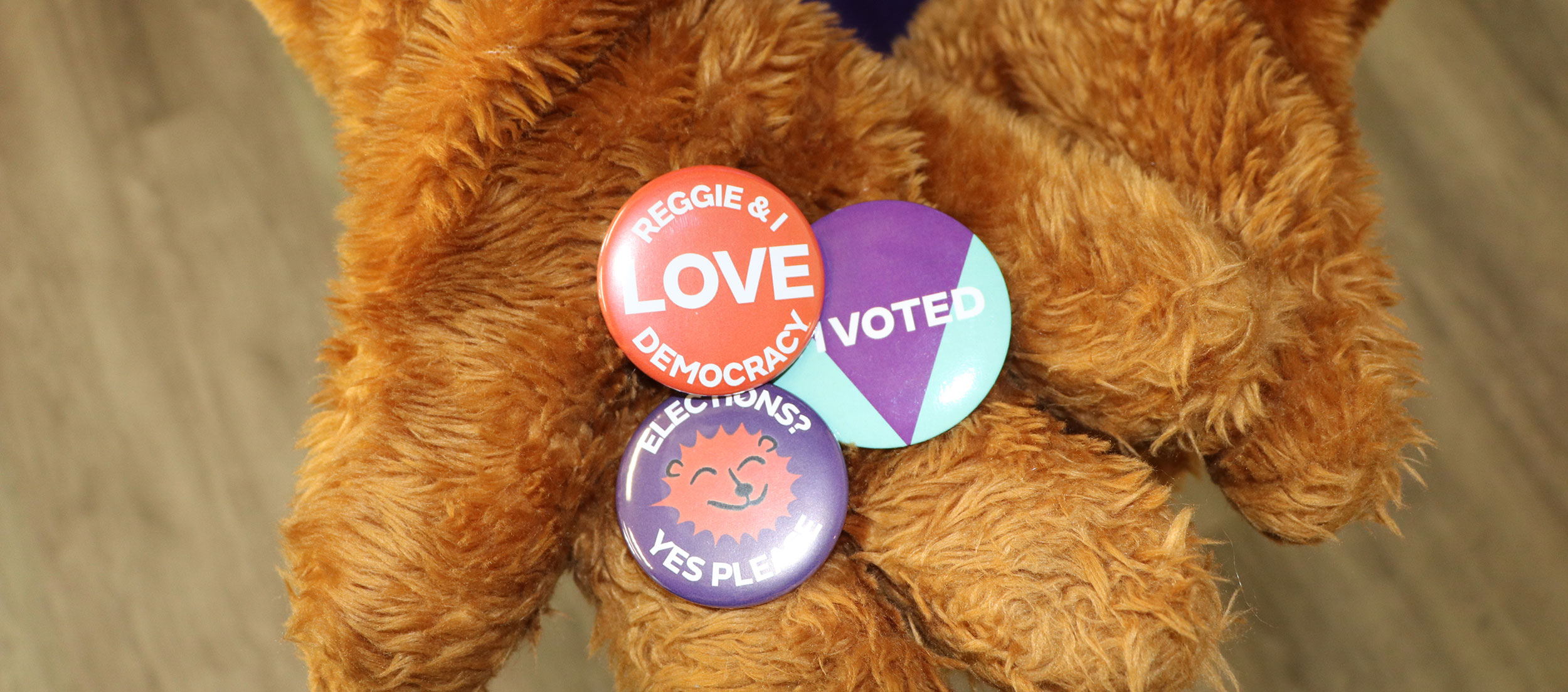 Election badges in Reggie the lion's hand