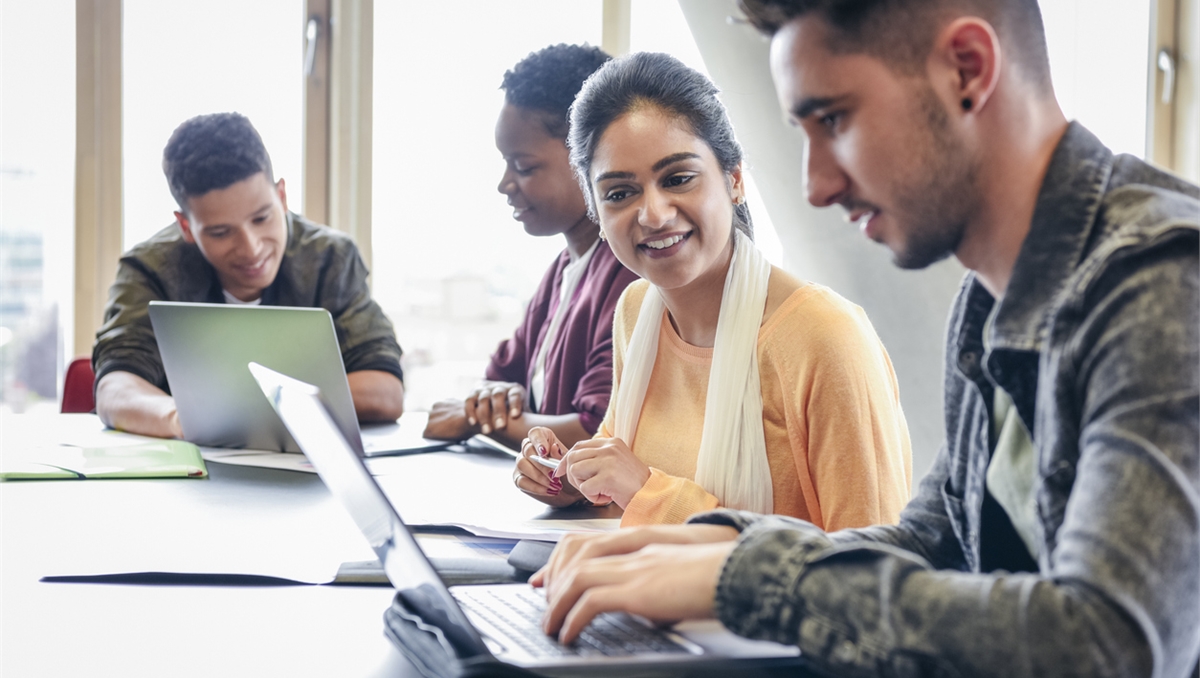people working in front of laptops